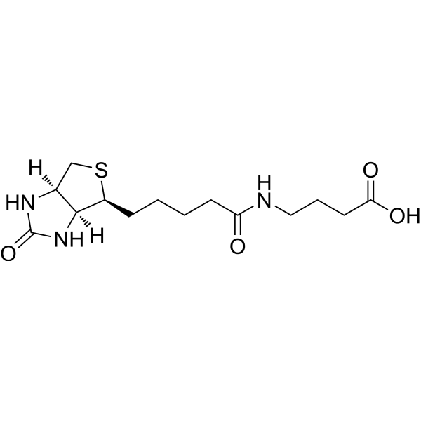 N-Biotinyl-4-aminobutanoic acid 35924-87-9